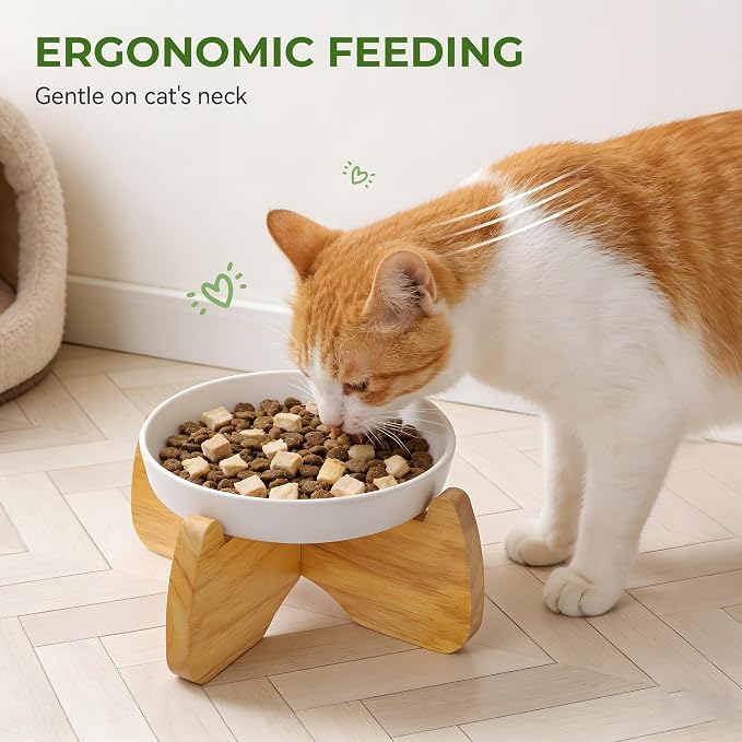 Raised Cat Bowls, 6.3'' Wide Shallow Elevated Cat Food Bowls, Ceramic Anti Vomit Pet Feeder with Stand, Anti Whisker Fatigue Neck Protective Feeding Dish for Kittens & Seniors (2 Pack)