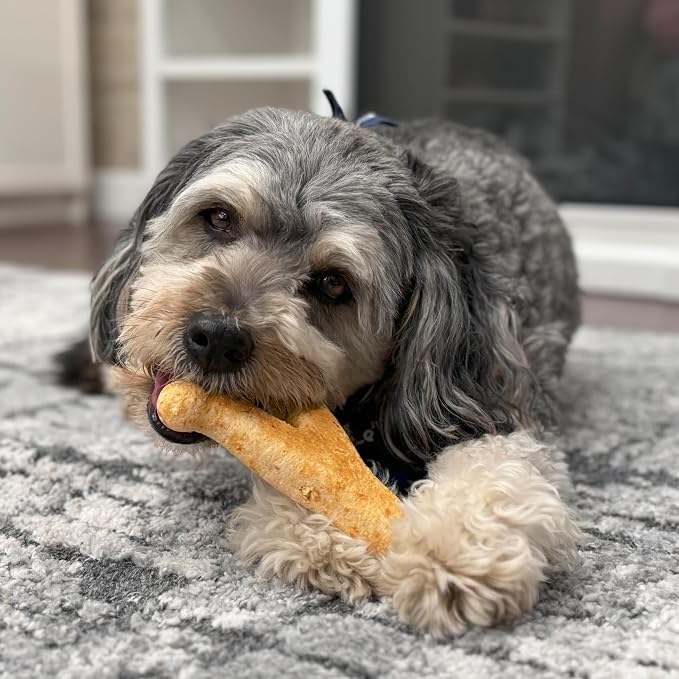 Fieldcrest Farms Nothin' to Hide Collagen-Based Dog Chews, Wishbone, Beef Flavor, Ultra-Premium, for Dogs Over 50lbs, Easily Digestible, Supports Skin, Coat, Joints & Muscles, 7-Inch, 2 Pieces