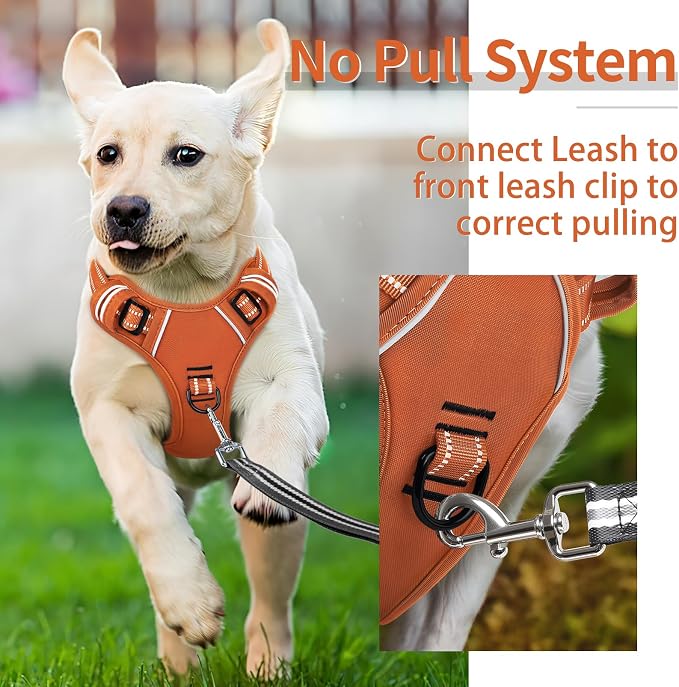HEELE Dog Harness for Small Dogs No Pull Dog Vest Harness for Small Dog with Soft Padded Handle Reflective for Outdoor Training, Pumpkin Orange, S