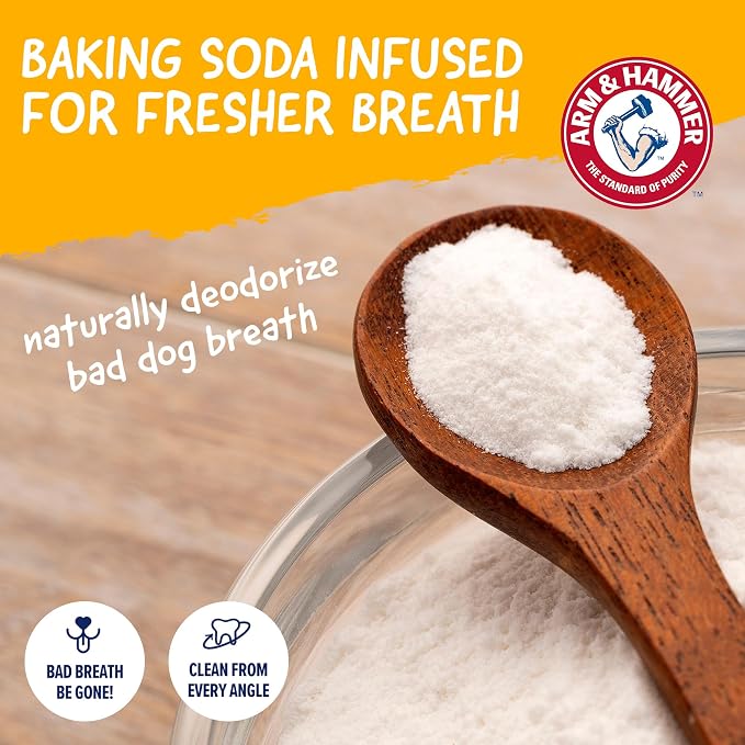 Arm & Hammer Nubbies Gator Dental Chew Toy for Dogs, Mint Flavor, Baking Soda Infused, Scrubbing Grooves to Reduce Plaque and Tartar, No Stuffing, for Moderate Chewers