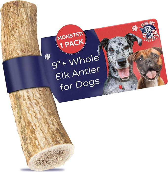Devil Dog Pet Co. Elk Antlers for Dogs, Natural Dog Chew for Aggressive Chewers - Long Lasting and Odor Free - USA Sourced - Cleaner Teeth, Anxiety & Boredom Relief - Whole Monster 9"+ - Antler Bone