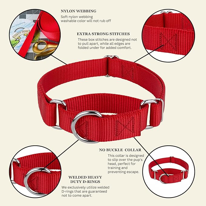 Country Brook Petz - Martingale Dog Collar - Heavy-Duty Training Collar with No Buckle - Service Dog Collar for All Pups - 20 Vibrant Colors (Red, 5/8 Inch, Extra Small)