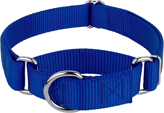 Country Brook Petz - Martingale Dog Collar - Heavy-Duty Training Collar with No Buckle - Service Dog Collar for All Pups - 20 Vibrant Colors (Royal Blue, 3/4 Inch, Small)