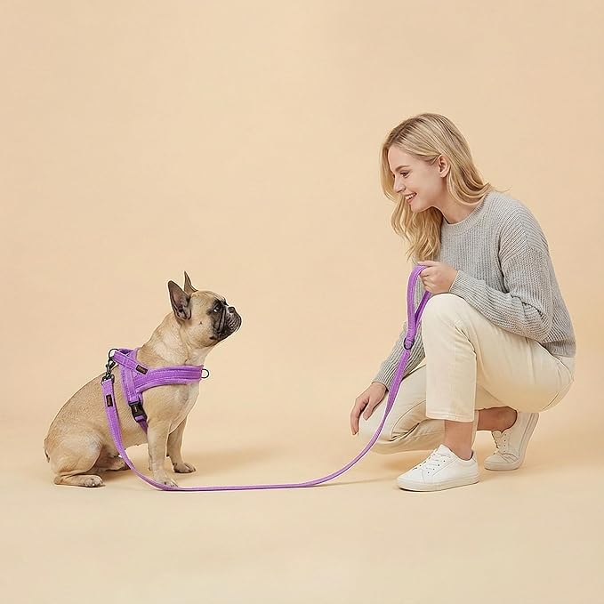 Didog Soft Flannel Padded Dog Vest Harness, No Pull/Quick Fit Reflective Dog Strap Harness, Easy for Training Walking (XS:Chest 15-18", Purple)