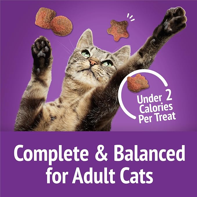 Purina Friskies Cat Treats, Party Mix Gravy-licious Crunch Turkey and Gravy Flavors - (Pack of 6) 6 oz. Pouches