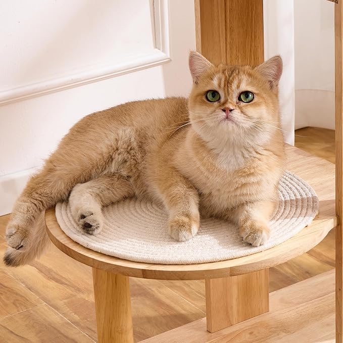 HITTITE Solid Wood Cat Tree Tower with Scratching Post, 64 Inches Tall Cat Towers with Scratching Board, Modern Cat Tower with Space Capsule and Removable Top Bed for Indoor Cats