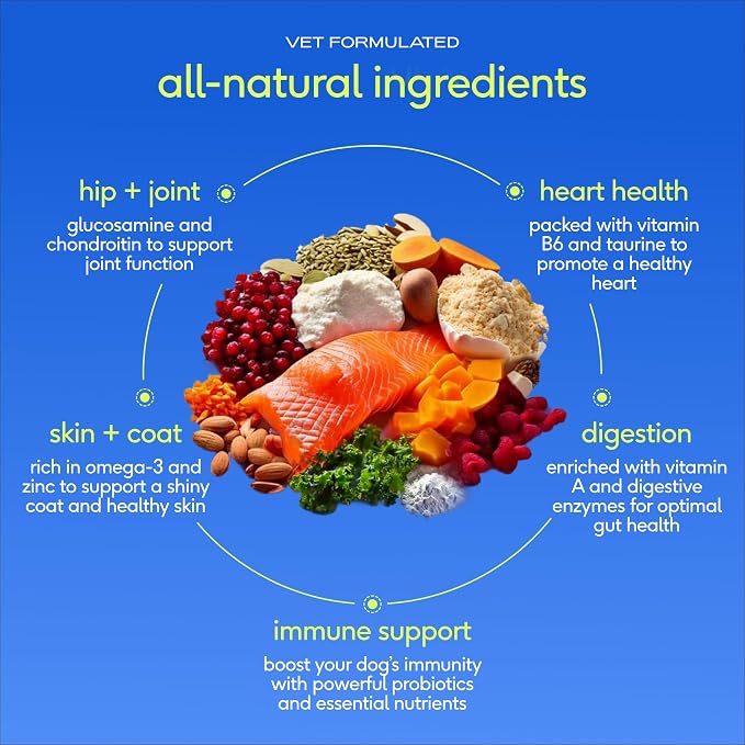 Native Pet The Daily Dog Vitamins & Supplements - 11-in-1 Multivitamin Powder for Dogs - Supports Whole Body Health, Digestion, Mobility & Immunity with Collagen, Glucosamine & Probiotics – 90 Scoops