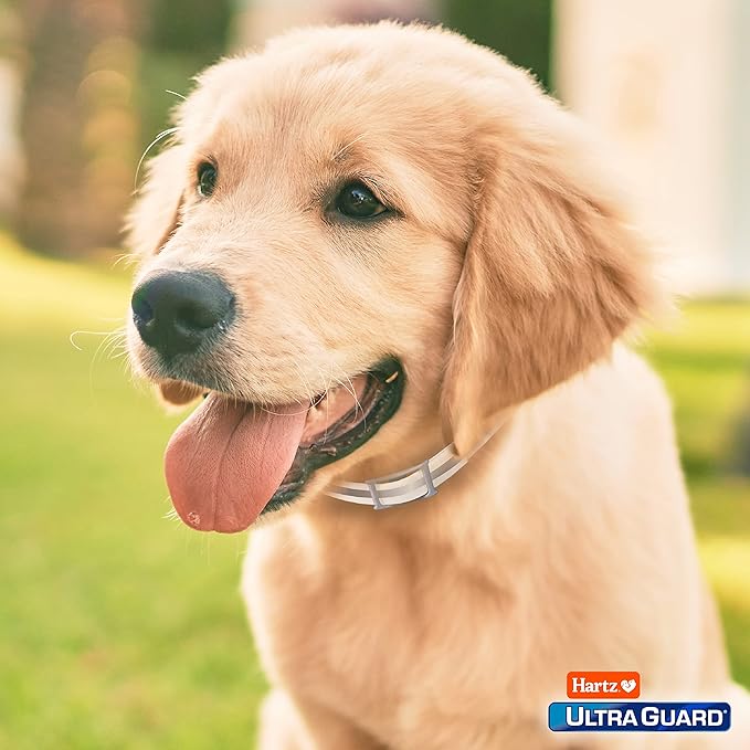 Hartz UltraGuard Pro Reflective Flea & Tick Collar for Dogs and Puppies, 7 Month Flea and Tick Prevention Per Collar, 1 Count (Pack of 2)