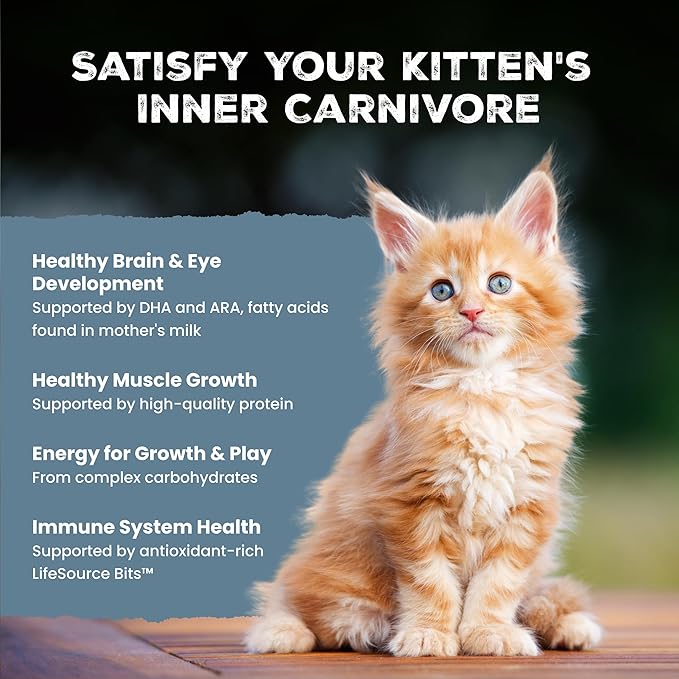 Blue Buffalo Wilderness with Chicken Natural High-Protein Grain-Free Dry Cat Food for Kittens, Real Chicken First, Antioxidant-Rich LifeSource Bits Support Immunity, DHA & ARA for Development, 5 lbs.