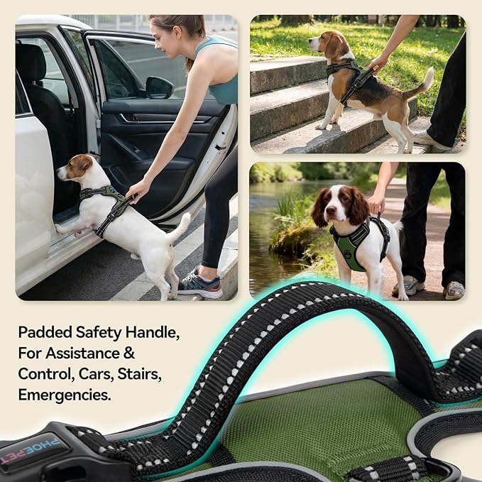 PHOEPET No Pull Dog Harness with Handle Reflective Padded Vest for Small Medium Large Dogs, Adjustable Puppy Harnesses with Front & Back Clip Easy Walking (L, Misty Green)