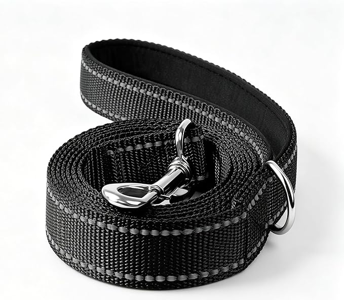 6 FT Reflective Dog Leash, Nylon Heavy Duty Leashes with Soft Padded Handle for Small Medium Large Dogs Walking, 1 Inch Wide Black