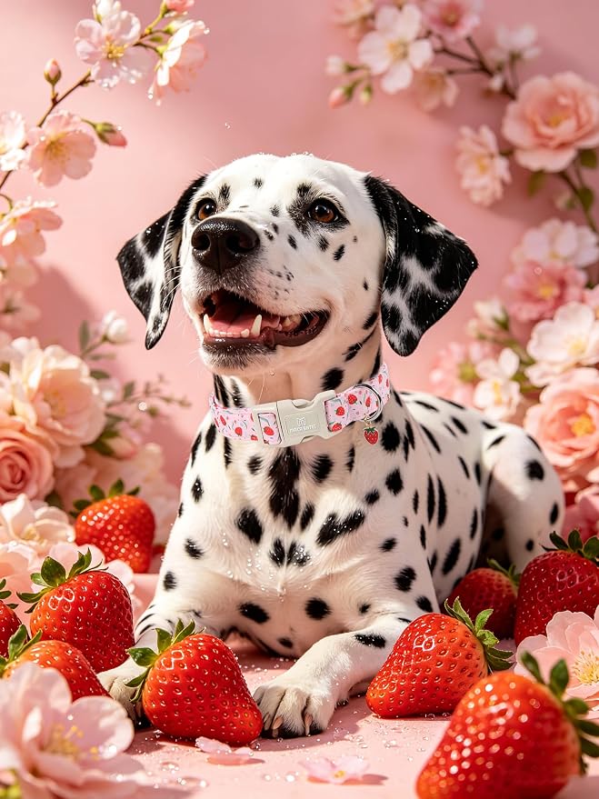 Maca Bates Spring Pink Basic Dog Collar with Strawberry Charm for Large Girl Boy Dogs, Leaves Strawberries Pattern,Pretty Gift Adjustable Durable Soft Collars for Male Female Puppy