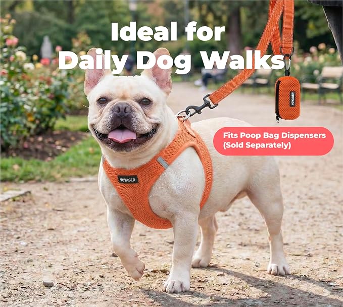 Best Pet Supplies Voyager Reflective Dog Leash or Collar with Neoprene Handle, for Small, Medium, and Large Breed Puppies, Cute and Heavy Duty for Walking, Running and Training - Orange (Leash), S