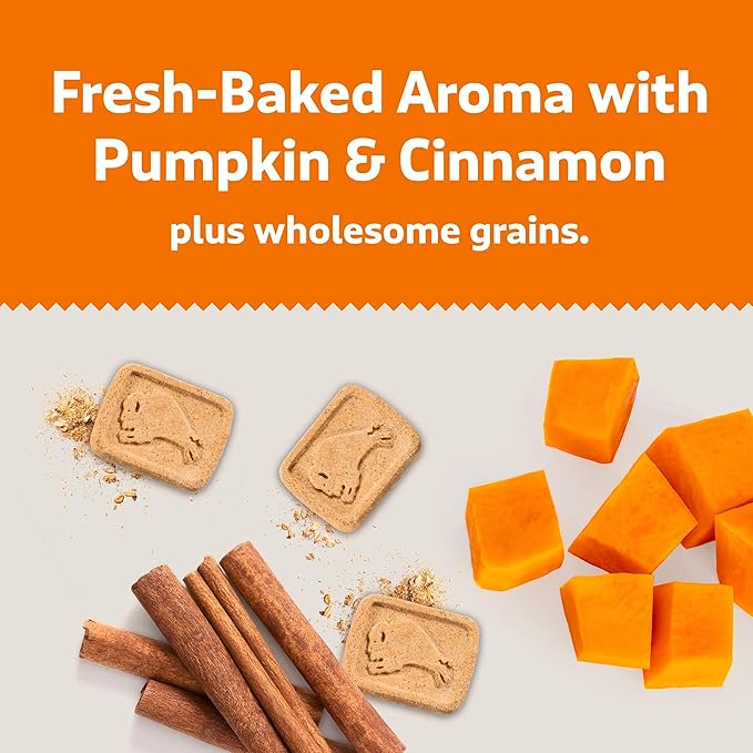 Blue Buffalo Health Bars Pumpkin & Cinnamon Crunchy Dog Biscuits, Oven-Baked with Pumpkin & Natural Ingredients, Healthy Dog Treats with No Artificial Flavors or Preservatives, 16 oz.