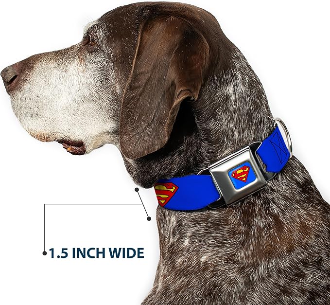 Dog Collar Seatbelt Buckle Superman Shield Blue 13 to 18 Inches 1.5 Inch Wide