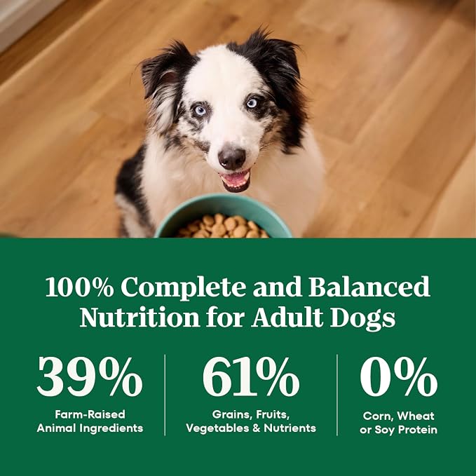 Nutro Natural Choice Dry Dog Food, Adult Dog Food Dry Lamb and Brown Rice Recipe, 5 lbs.