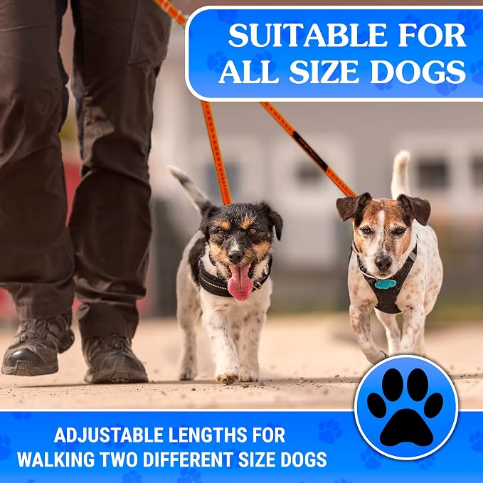 Dog Leash – Dual Reflective with Non-Tangle Design – Heavy Duty Nylon and Metal Buckles – Ideal (Orange, 2 Dog Leash)