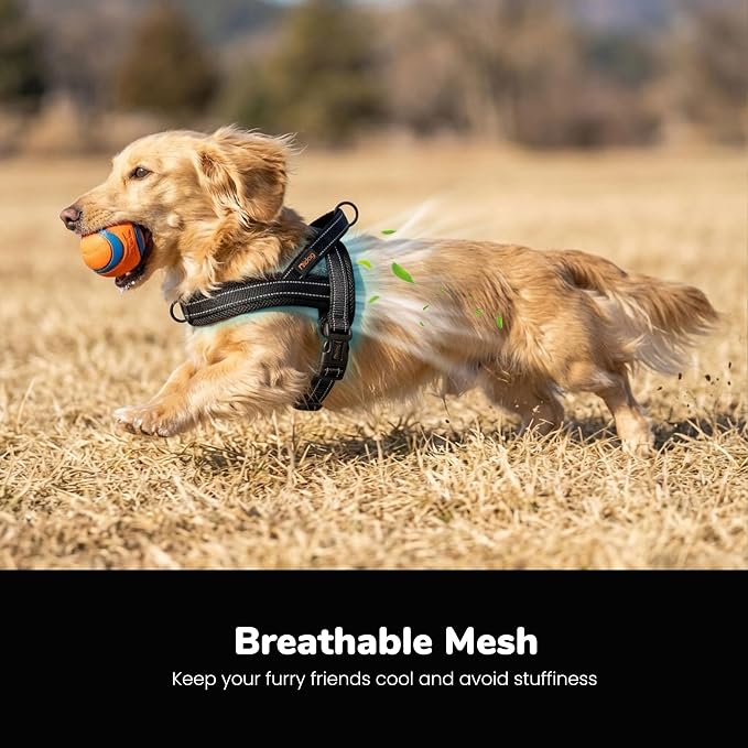 Didog No Pull Dog Harness with Breathable Mesh Padded,Reflective & Quick Fit Light Weight Dog Strap Vest Harness,Easy for Walking Training (XS:Chest 15-18", Mesh-Black)