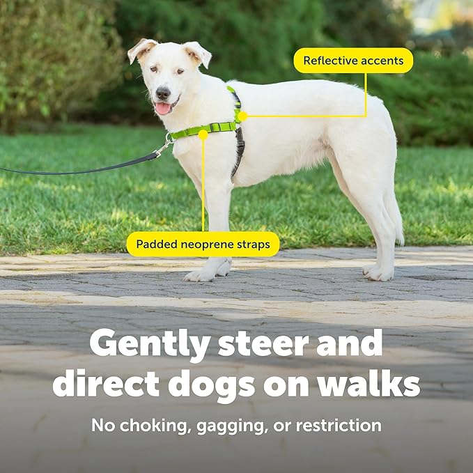 PetSafe Easy Walk Deluxe Dog Harness, No Pull Dog Harness Perfect for Leash & Harness Training Stops Pets from Pulling and Choking on Walks Medium/Large, Apple