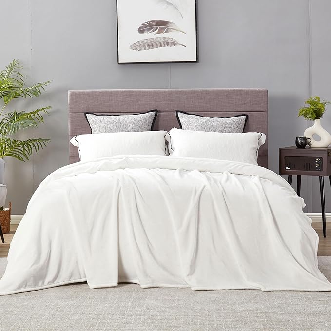 DREAMNINE Extra Large Solid Soft Comfy Fluffy Fleece Bed Blanket Queen Size 90" x 90", Luxury Decorative Fuzzy Blankets for Bedroom, Big Cozy Shaggy Warm Flannel Blanket for Winter Autumn Pet, White