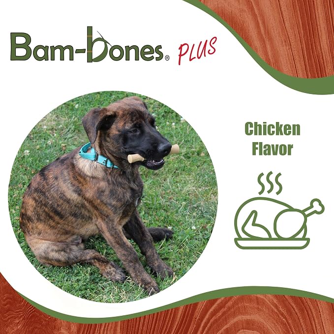 SPOT Bam-Bones Plus Bamboo Stick – Bamboo Fiber & Nylon, Durable Long Lasting Dog Chew for Aggressive Chewers – Great Toy for Adult Dogs & Puppies Under 60lbs, Non-Splintering, 5.25in, Chicken Flavor