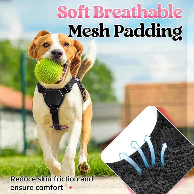 rabbitgoo Escape Proof Dog Harness Small Sized Dog, Soft Padded Full Body Pet Harness, Reflective Adjustable Vest with Lift Handle and Leash Clip for Walking Hiking Training, Light Pink, S