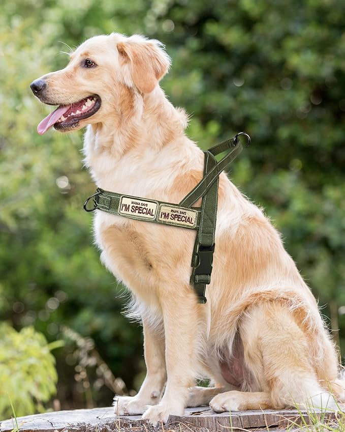No Pull Dog Harness for Small Medium Large Sized Dogs, Escape Proof Adjustable Dog Harnesses with 2 Patch, Green Camo, L