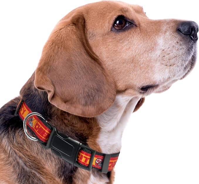 Pets First NFL Kansas City Chiefs Licensed PET COLLAR, Large - Heavy-Duty, Strong, and Durable Dog Collar. Available in 31 Football Teams and 4 Sizes