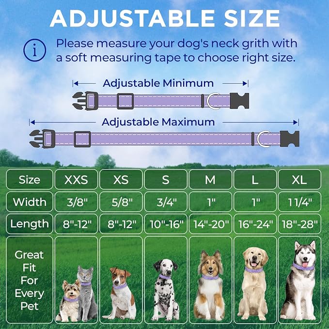 TECEUM Reflective Dog Collar – Lavender – XL – Extra Soft Padding – Basic Nylon Pet Collar – Quick Release Buckle – Fits Small, Medium and Large Dogs, Puppies, Cats – ESA & Service Dog Options