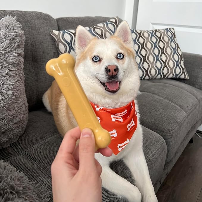 Nylabone Power Chew Classic Bone Chew Toy for Dogs, Durable Dog Toys for Aggressive Chewers, Peanut Butter Flavor, Medium/Wolf - Up to 35 lbs. (1 Count)