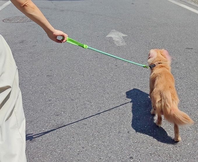 2/3/4/6/10 Foot Reflective Dog Leash Strong Nylon Rope Braided Heavy Duty for Large and Medium Small Dogs Walking Training Leads (Green, 3ft * 1/2")