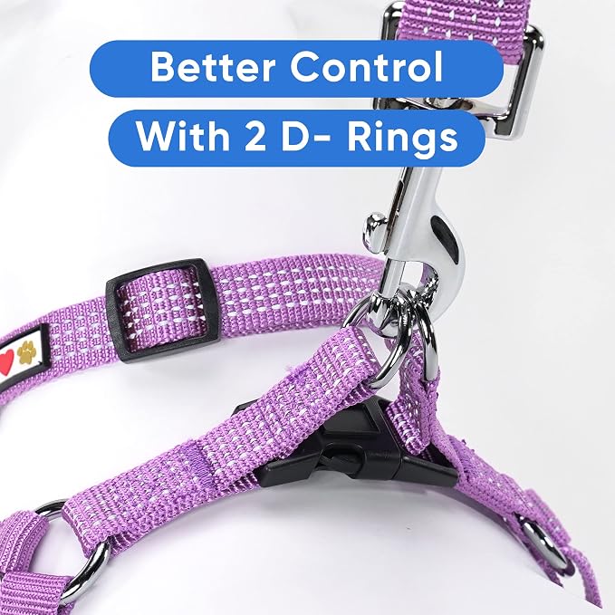 Pawtitas Reflective Step-in Dog Harness – Adjustable No-Pull Vest for Puppies to Seniors, Safe & Comfortable, XS Orchid