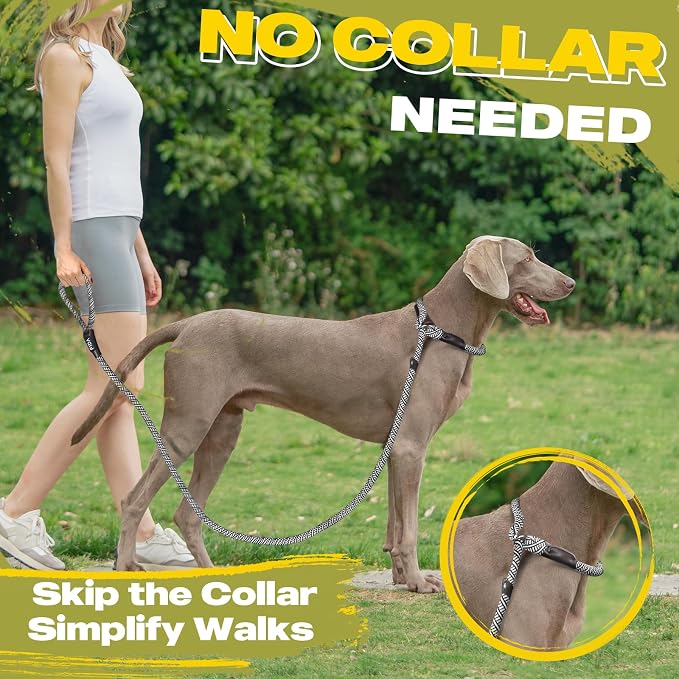 Fida Durable Slip Lead, 6 FT x 1/2" Heavy Duty Dog Loop, Comfortable Strong Rope Leash for Large, Medium Dogs, No Pull Pet Training Leash with Highly Reflective, Grey