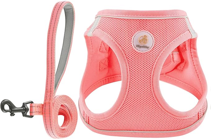 Hipubby Dog Harness and Leash Set, No Pull Soft Mesh Puppy Harness for Small Medium Dogs, Cats - Step in Reflective Breathable Lightweight Vest Harness for Walking, Training - Pink, M