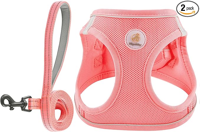 Hipubby Dog Harness and Leash Set, No Pull Soft Mesh Puppy Harness for Small Medium Dogs, Cats - Step in Reflective Breathable Lightweight Vest Harness for Walking, Training - Pink, XXS