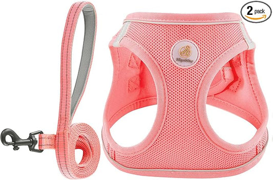 Hipubby Dog Harness and Leash Set, No Pull Soft Mesh Puppy Harness for Small Medium Dogs, Cats - Step in Reflective Breathable Lightweight Vest Harness for Walking, Training - Pink, XXS