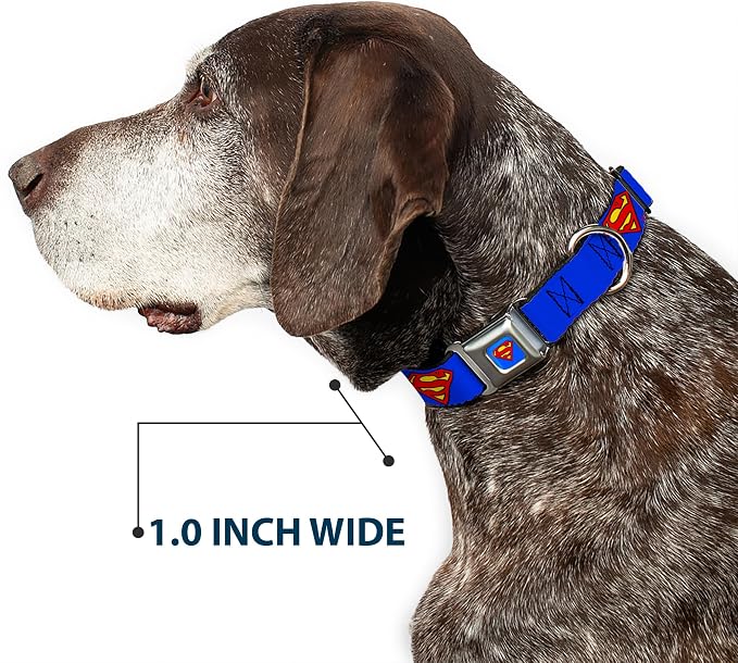 Buckle Down Superman DC Comics Superhero Classic Logo Seatbelt Fun Animal Pet Dog Cat Collar