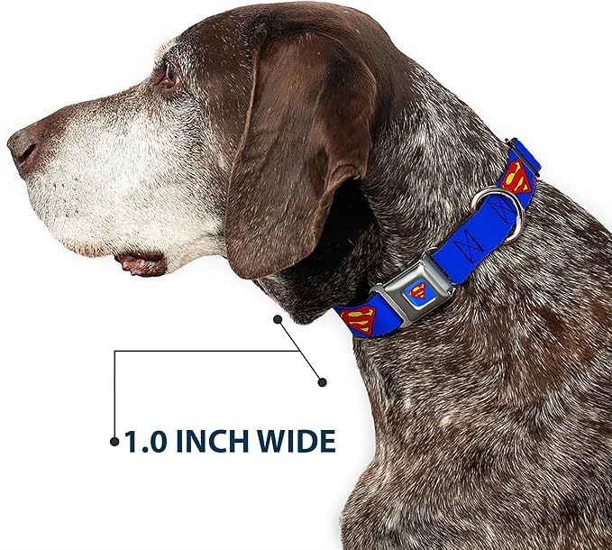 Buckle-Down Dog Collar Seatbelt Buckle Superman Shield Blue 16 to 23 Inches 1.5 Inch Wide
