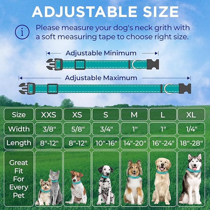 TECEUM Reflective Dog Collar – Aquamarine – M – Extra Soft Padding – Basic Nylon Pet Collar – Quick Release Buckle – Fits Small, Medium and Large Dogs, Puppies, Cats – ESA & Service Dog Options