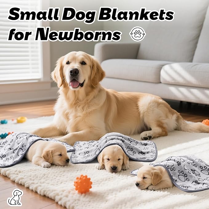 Stuffed 3 Pcs Soft Dog Blankets for Small Dogs Newborn, Washable Puppy Blanket for Cat Kitten Essentials, 24 * 16 Inches, Grey Cute Paw Print