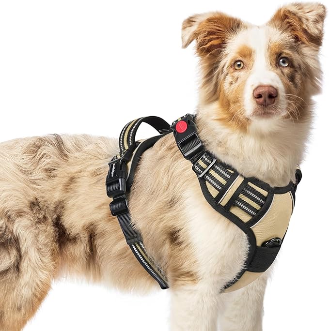 rabbitgoo Dog Harness Medium Sized, No Pull Easy On & Off with 3 Buckles Pet Harness, Adjustable Soft Walking Vest with 2 Clips and Handle, Reflective for Medium Dogs, Beige, M