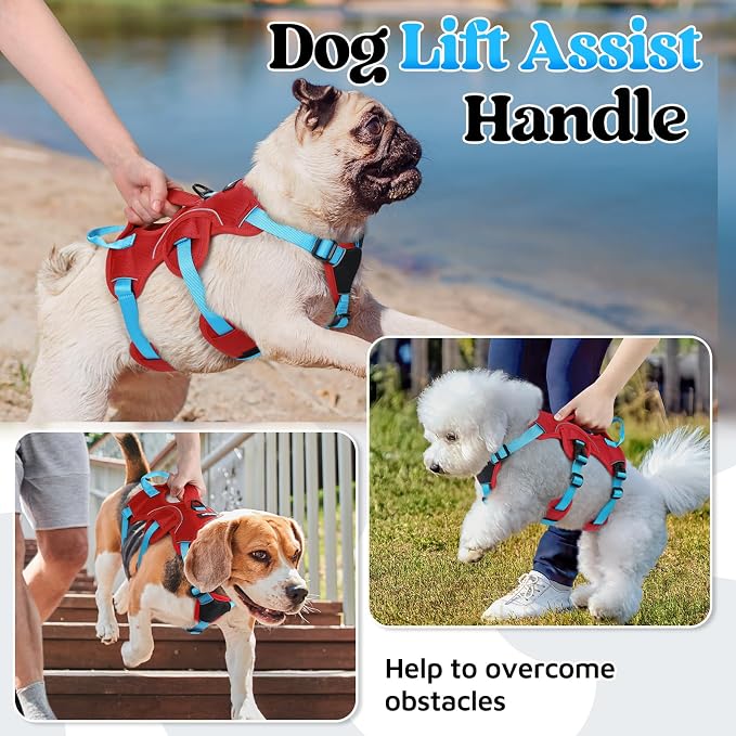 rabbitgoo Escape Proof Dog Harness Large Dogs, Soft Padded Full Body Pet Harness, Reflective Adjustable No Pull Vest with Lift Handle and Leash Clip for Walking Hiking Training, Blue & Red, S