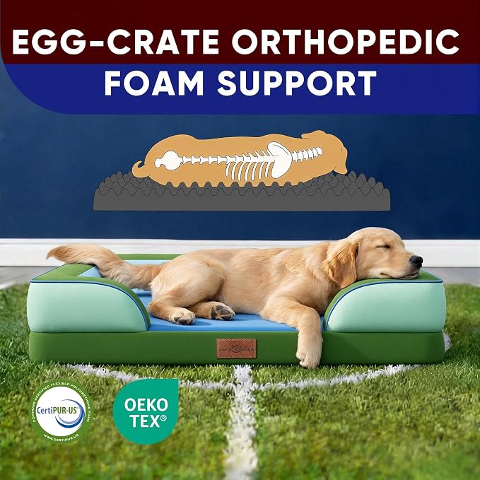 Comfort Expression Orthopedic Dog Bed for Extra Large Dogs 42x30 Inch, Waterproof Egg Crate Foam XL Pet Bed with Bolsters, Dog Couch with Washable Cover & Non-Slip Bottom, Boston