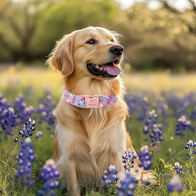Floral Dog Collar, Cute Spring Summer Girl Dog Collars - Soft Adjustable Everyday Collars for Small Medium Large Dogs, Rustic Wildflowers Female Dogs Collar M