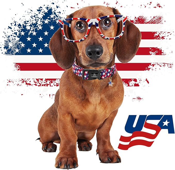 Lionheart glory American Flag Dog Collar, 4 of July Patriotic Independence Dog Collar Heavy Duty Adjustable Collars for Small Dogs Pet Gift Summer Collars