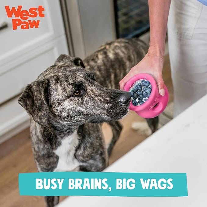 WEST PAW Zogoflex Toppl Interactive Treat Dispensing Puzzle Dog Toy for Mental Stimulation & Enrichment-Holds Kibble & Treats-Lickable, Freezable & Dishwasher Safe-Made in USA-Small-Geranium