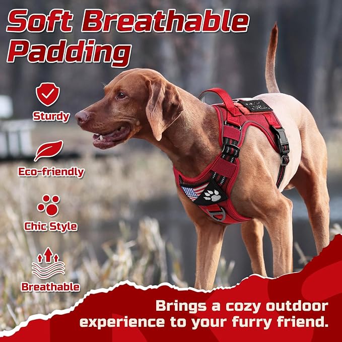 rabbitgoo Tactical Dog Harness for Small Dogs, No Pull Military Service Vest with Handle & Molle, Easy Control for Training Walking, Adjustable Reflective Straps, Red, S