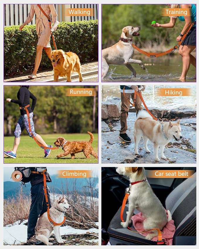 Hands Free Dog Leash, Multifunctional Crossbody Dog Leash, 5.9-9.5Ft Long Waist Belt with Car Seatbelt and Double-Sided Reflective Stitches for Medium and Large Dogs Walking, Jogging(Orange).