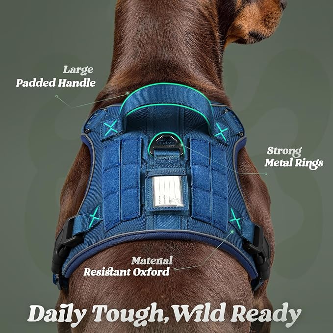 rabbitgoo Tactical Dog Harness for Large Dogs No Pull Adjustable Military Vest with Handle MOLLE Reflective Heavy Duty Dog Vest for Walking Training Hunting Outdoor Working Medium Size Dog Blue L