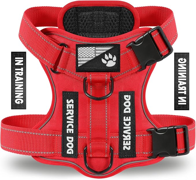 Service Dog Harness, Reflective Dog Vest Harness with 5 PCS Patches, Adjustable Soft Oxford Pet Harness, Inner Layer Mesh, Easy to Control for Dogs (All-RED, Large (Pack of 1))